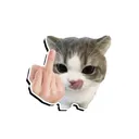@editor_plenger4