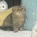 @mushy_munchie