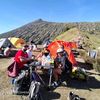 salvintrekking