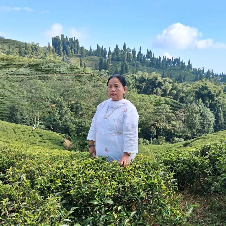 rita.limbu5