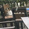 deepika_neupane_7