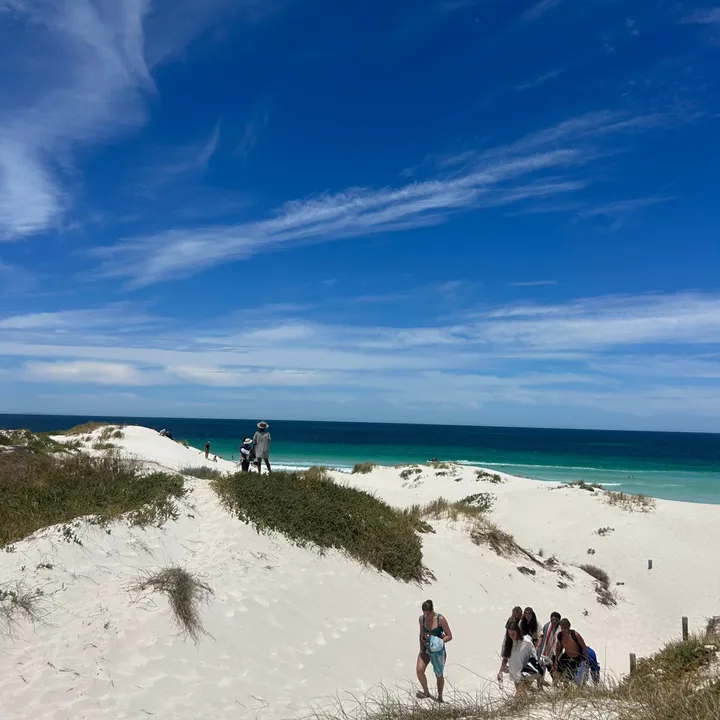 @ellachilton