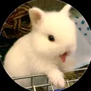 @murwxe