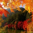 @victorchukaev