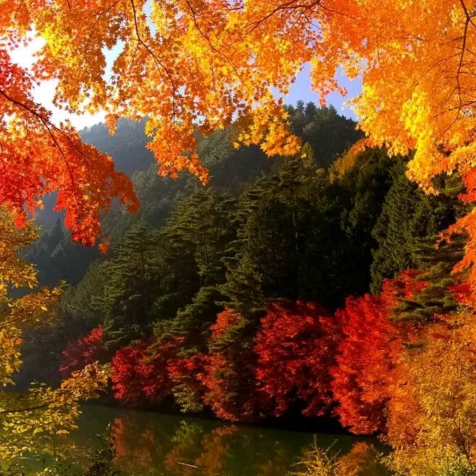 @victorchukaev