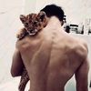 ranvi_ar