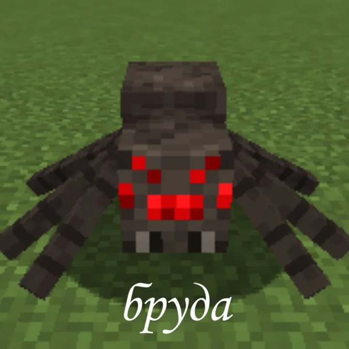 @youngere_doto