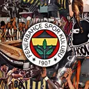 @fenerli20132