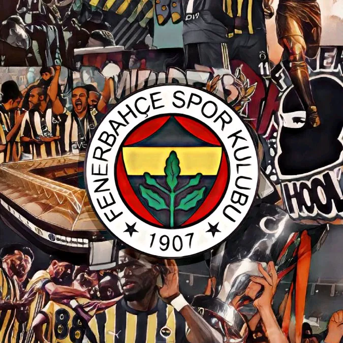 @fenerli20132