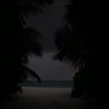 rebronity_