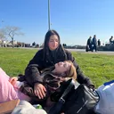 @elifwscy