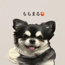 @rinnn11042