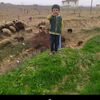 nedim_can_63