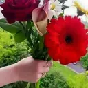 @lovebird5331