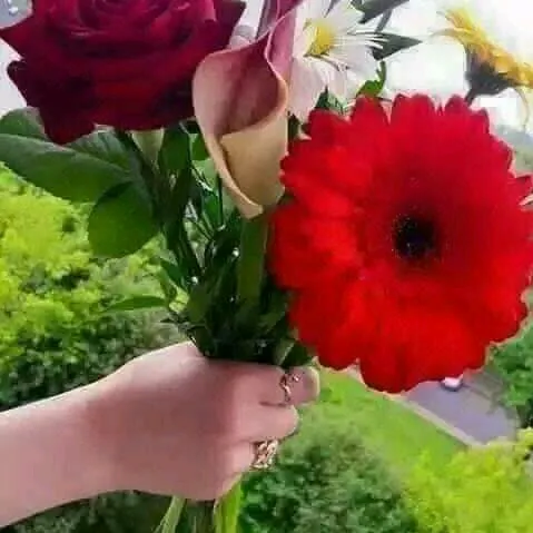 @lovebird5331