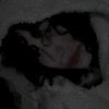 monn0220