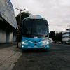 busologiamexico