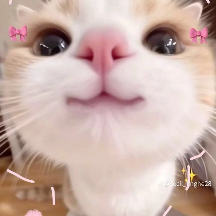 , - original sound