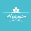 alciceyimgence