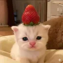 @glolwo