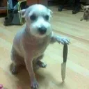 @_xrrl1a