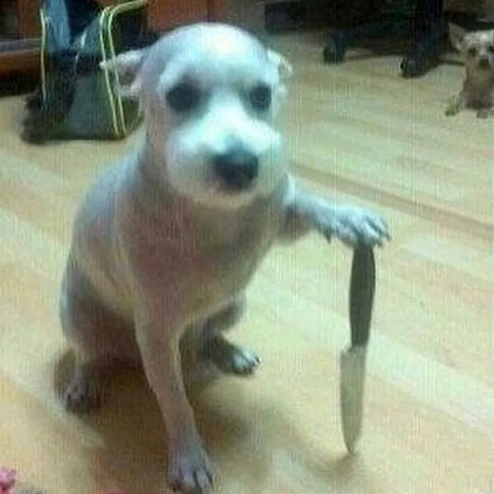 @_xrrl1a