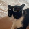 arianaherlu