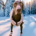 @rocky12gsp