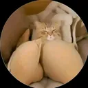 @david_py31