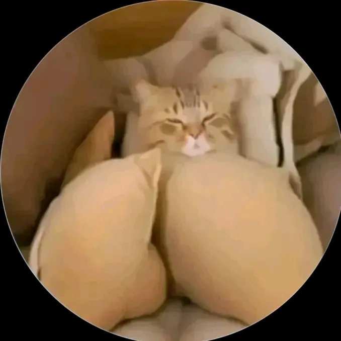 @david_py31