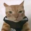 tess_co_1