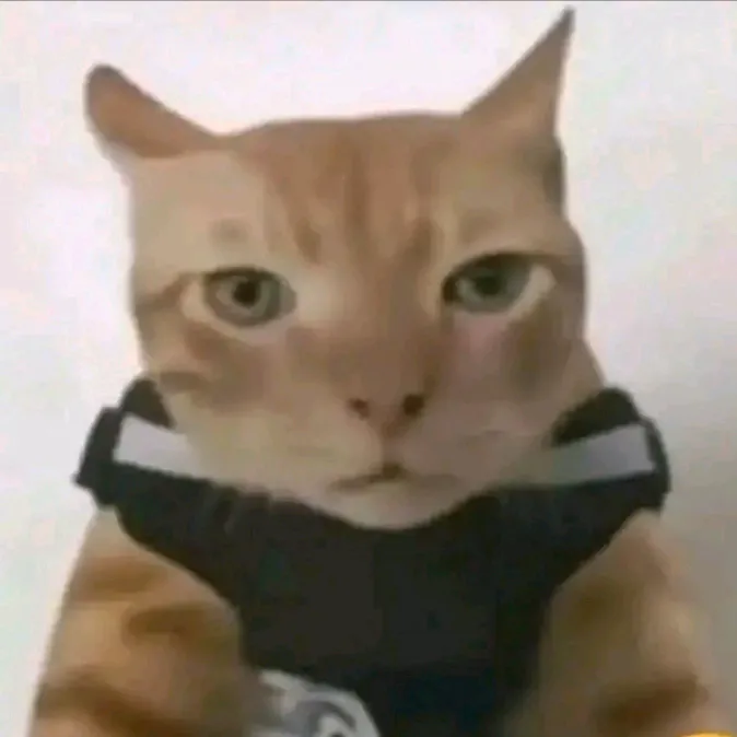 tess_co_1