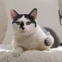 @k4mbingh1tam24