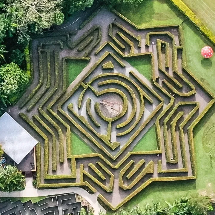 amazeworldau