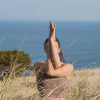 s.z.movement