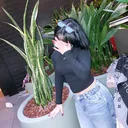@cikolattalisutt