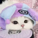 @zaza.imut.29