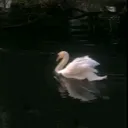 @urooj.aesthetic12