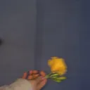 @mm7.tx