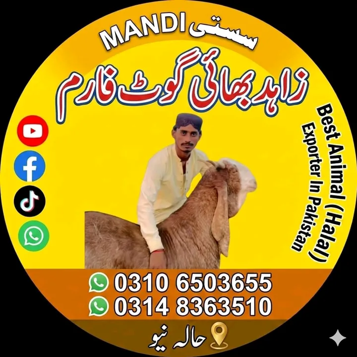 @zahidbahi22