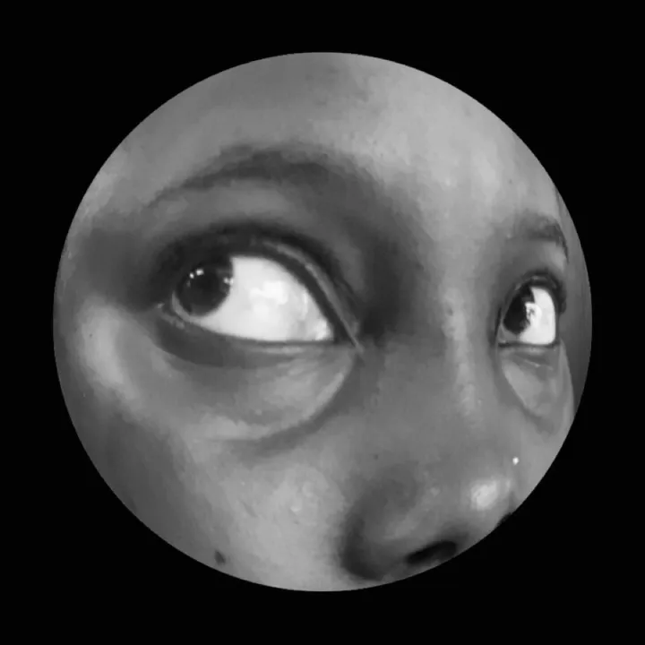 omo_stelz