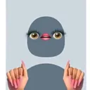@user2135516661782