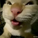 @meme_mwuhehe.id