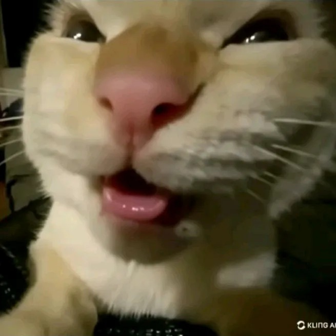 meme_mwuhehe.id
