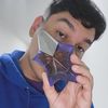 koalacollections