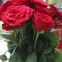 @user6573191233251a