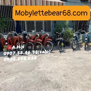 bear.mobylette