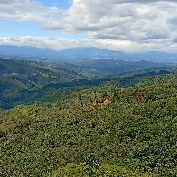 montillacampo