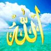 rustamrustam4566