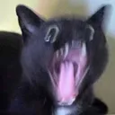 @_doomkitty_